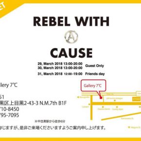 REBEL WITH A CAUSE REBEL WITH A CAUSE